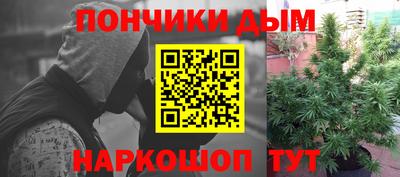 молекула духа Ставрополь
