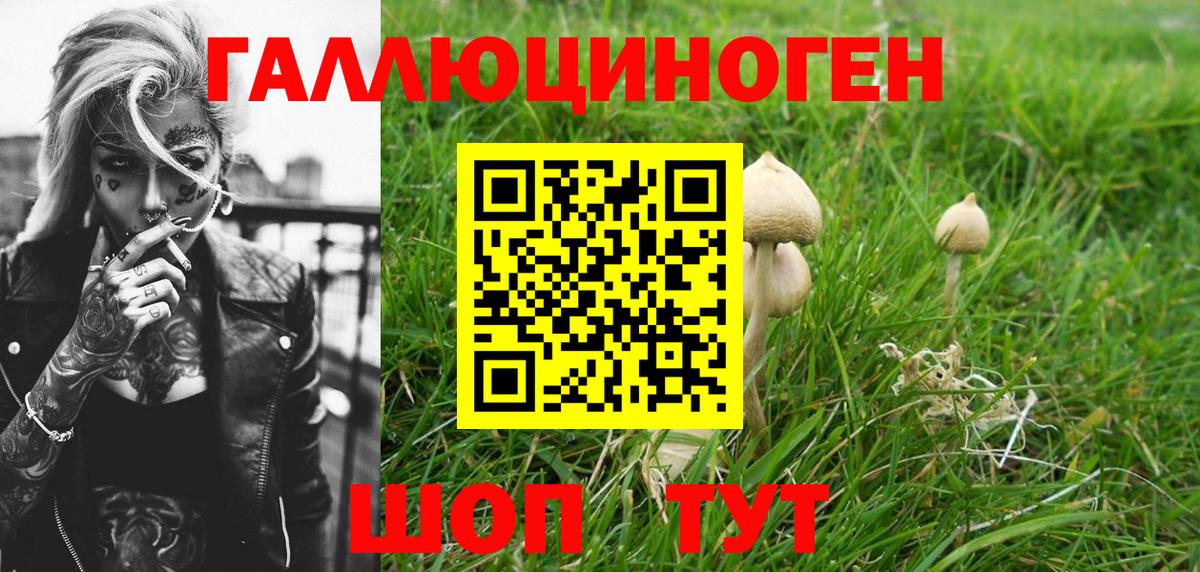 Псилоцибиновые грибы ЛСД  Вход с VPN  Павлово  Псилоцибиновые грибы MAGIC MUSHROOMS 