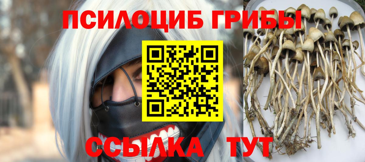 Галлюциногенные грибы прущие грибы Павлово