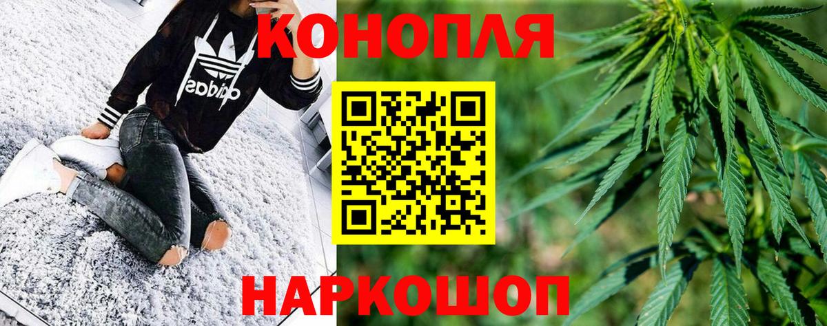 Конопля планчик Павлово